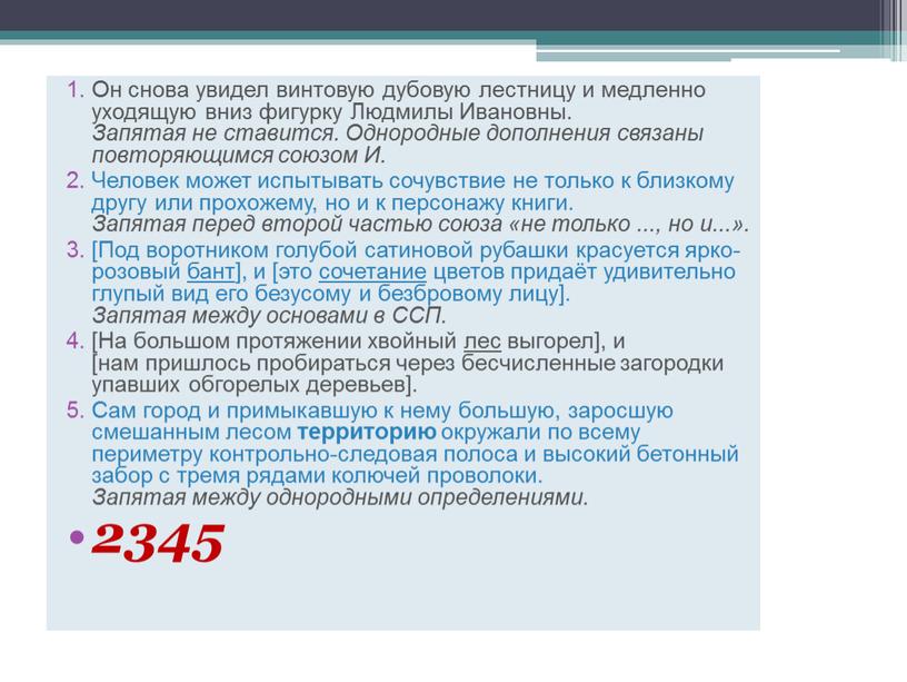 Он снова увидел винтовую дубовую лестницу и медленно уходящую вниз фигурку