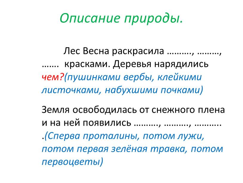 Описание природы. Лес