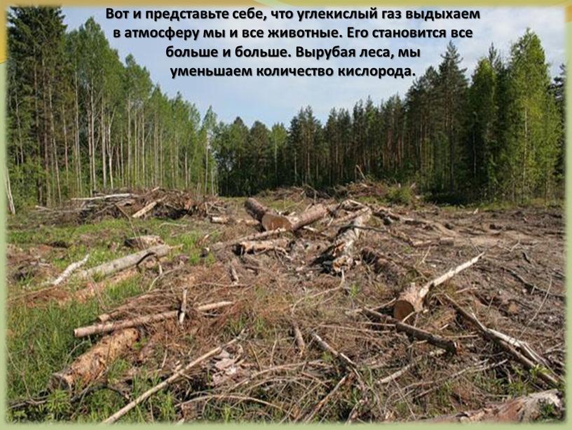 Вот и представьте себе, что углекислый газ выдыхаем в атмосферу мы и все животные