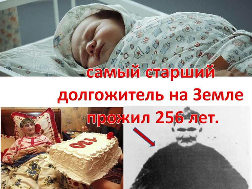 самый старший долгожитель на Земле прожил 256 лет.