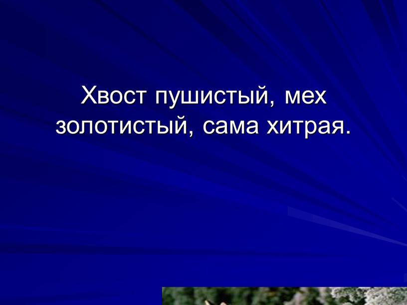 Хвост пушистый, мех золотистый, сама хитрая