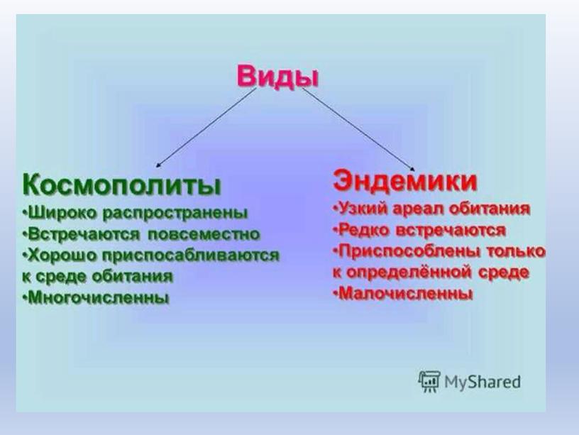 Разбор заданий №19-21 ОГЭ по биологии