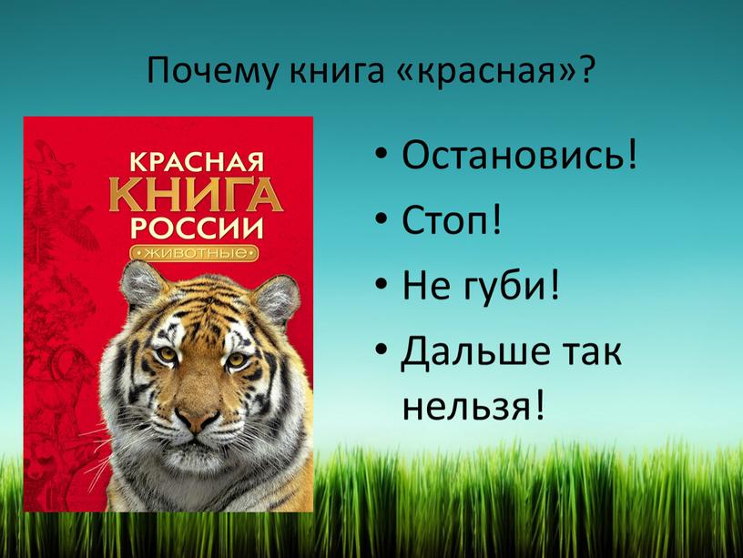 Почему книга «красная»? Остановись!