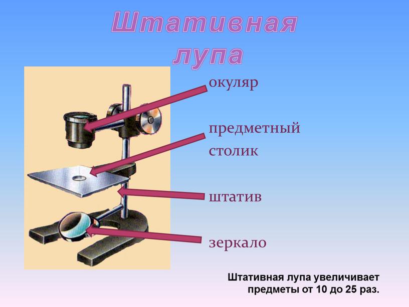 Штативная лупа окуляр предметный столик штатив зеркало