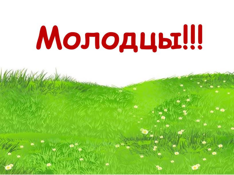 Молодцы!!!