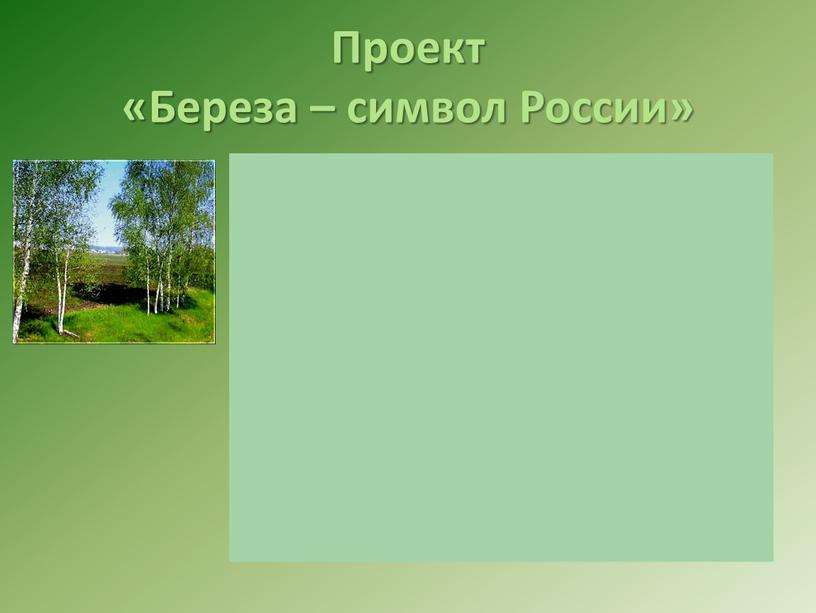 Проект «Береза – символ России»