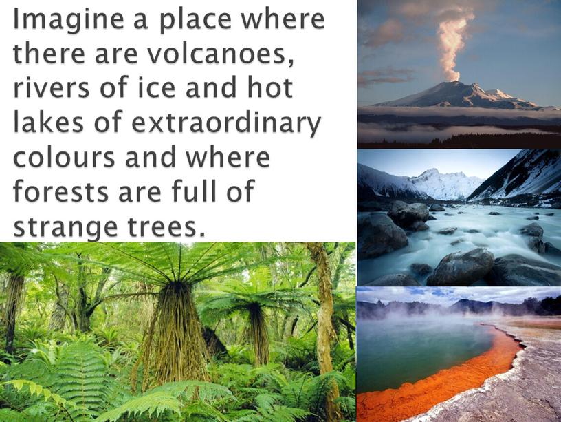 Imagine a place where there are volcanoes, rivers of ice and hot lakes of extraordinary colours and where forests are full of strange trees