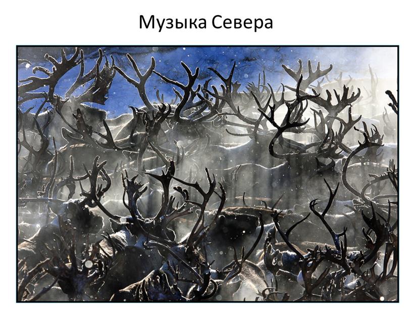 Музыка Севера