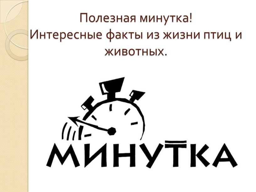 Полезная минутка! Интересные факты из жизни птиц и животных