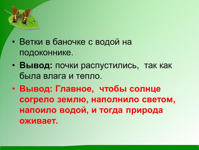 Ветки в баночке с водой на подоконнике