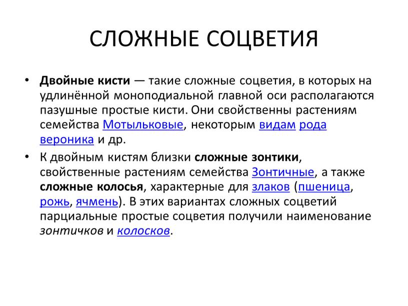 СЛОЖНЫЕ СОЦВЕТИЯ Двойные кисти — такие сложные соцветия, в которых на удлинённой моноподиальной главной оси располагаются пазушные простые кисти