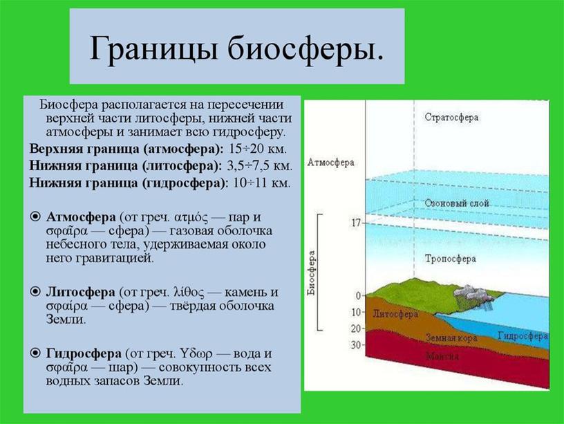 Урок на тему: " Биосфера- живая оболочка Земли. Структура биосферы