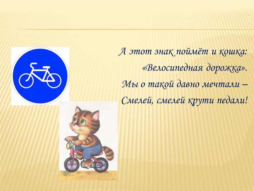 А этот знак поймёт и кошка: «Велосипедная дорожка»