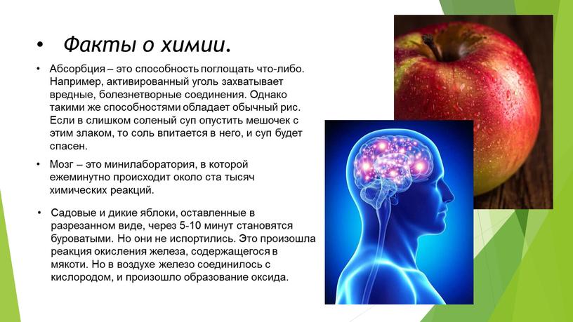 Факты о химии. Абсорбция – это способность поглощать что-либо