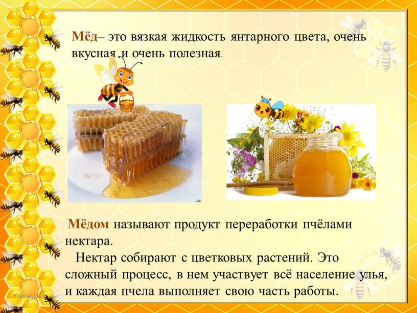 Мёд – это вязкая жидкость янтарного цвета, очень вкусная и очень полезная