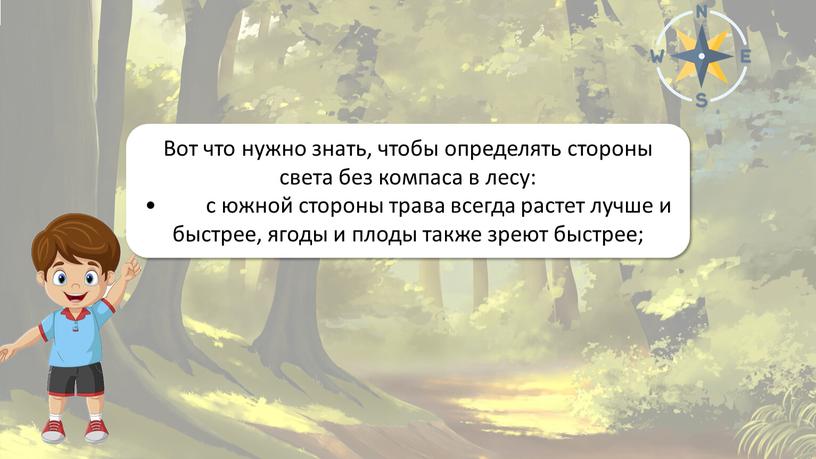 Ориентирование на местности Вот что нужно знать, чтобы определять стороны света без компаса в лесу: • с южной стороны трава всегда растет лучше и быстрее,…