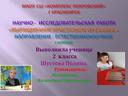 Презентация. Научная исследовательская работа.Выращивание кристаллов.Направление : естественнонаучное.