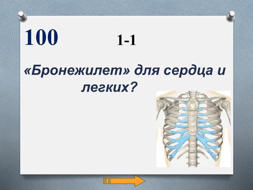 Бронежилет» для сердца и легких? 100