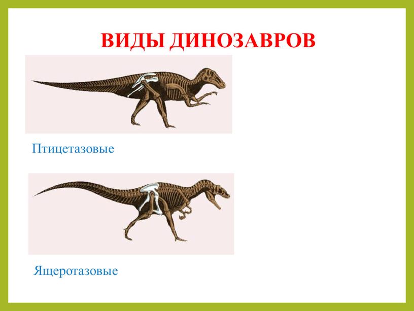 ВИДЫ ДИНОЗАВРОВ Птицетазовые