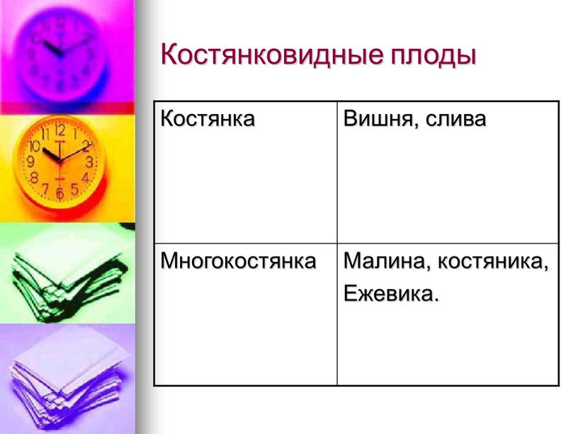 Костянковидные плоды Костянка Вишня, слива