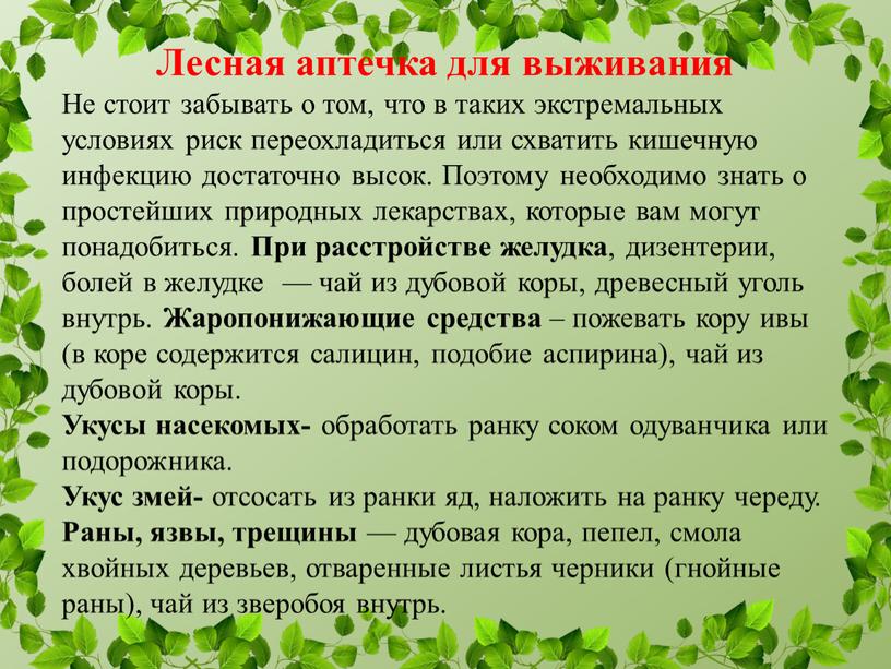 Лесная аптечка для выживания Не стоит забывать о том, что в таких экстремальных условиях риск переохладиться или схватить кишечную инфекцию достаточно высок