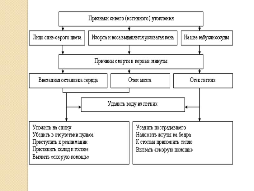 Доврачебная помощь и особенности проведения реанимационных мероприятий