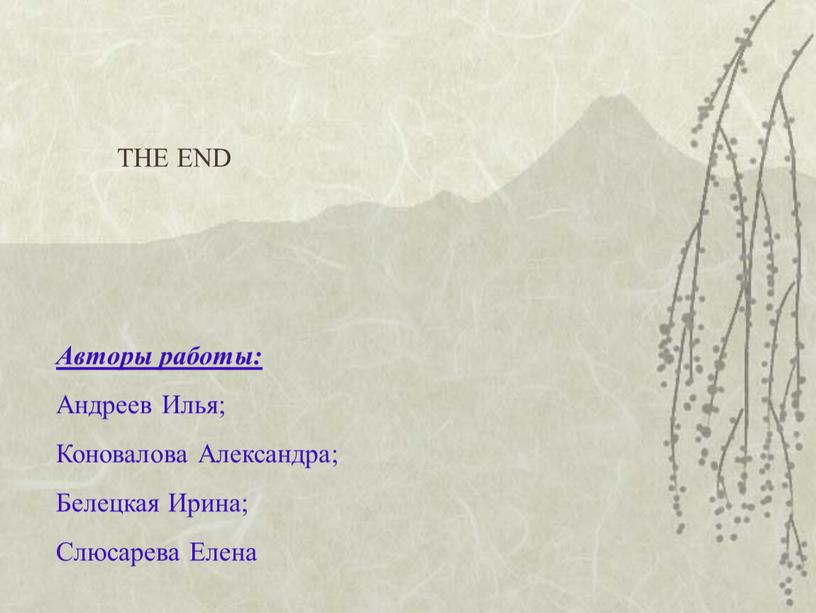 THE END Авторы работы: Андреев