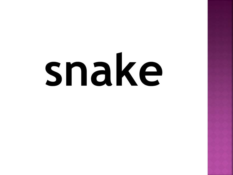 snake