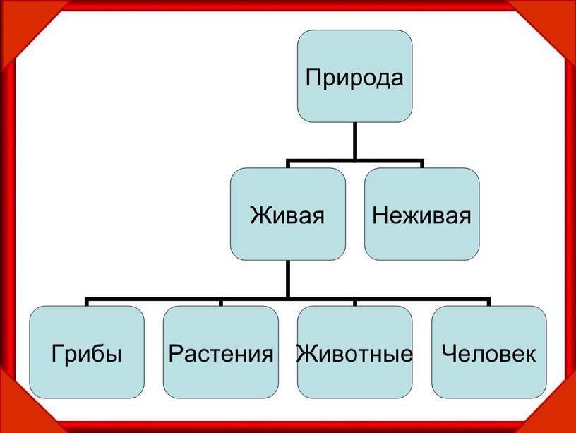 Что такое Красная книга?