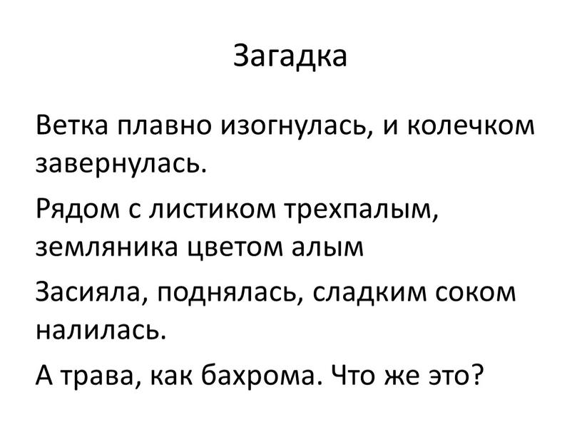 Загадка Ветка плавно изогнулась, и колечком завернулась