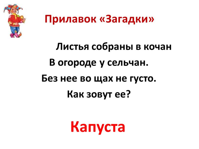 Прилавок «Загадки» Листья собраны в кочан