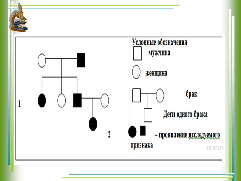 Варианты дистанционных работ 2