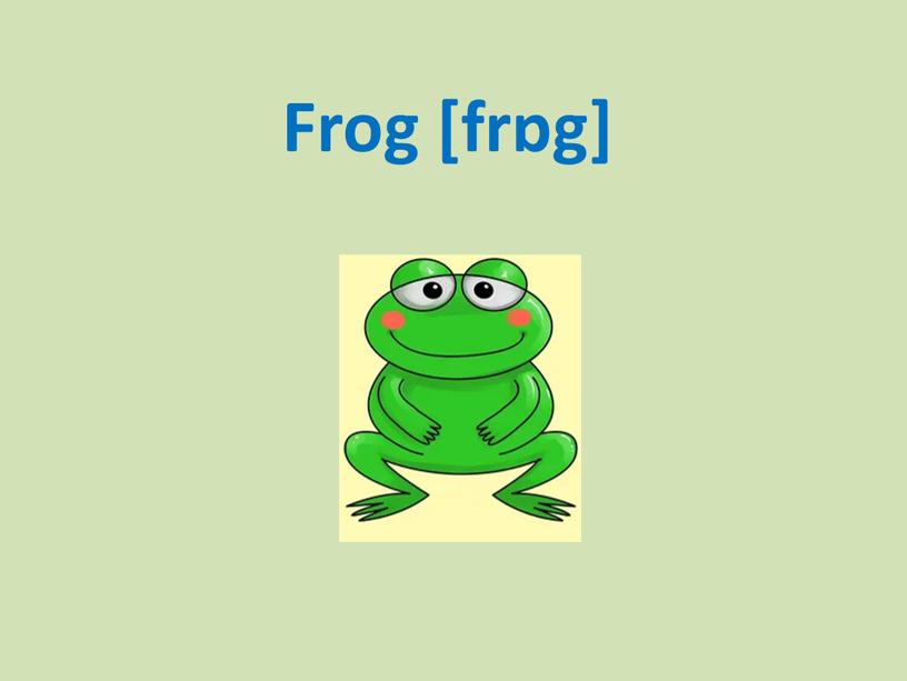 Frog [frɒg]