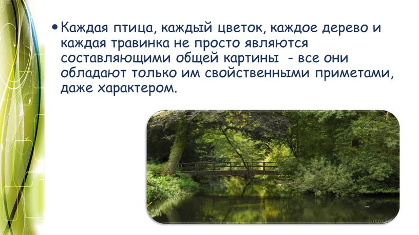 Каждая птица, каждый цветок, каждое дерево и каждая травинка не просто являются составляющими общей картины - все они обладают только им свойственными приметами, даже характером