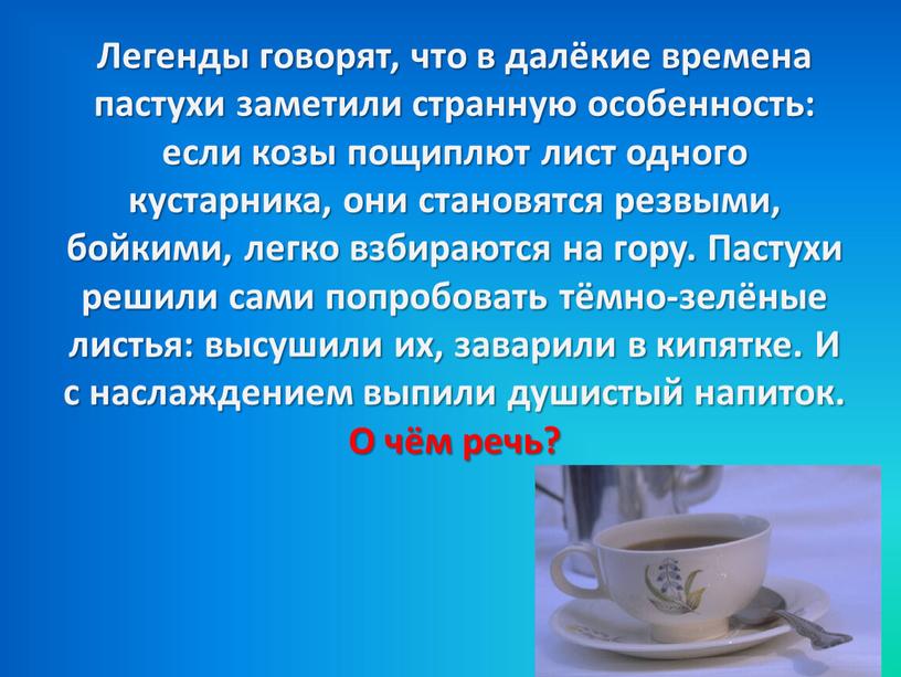 Легенды говорят, что в далёкие времена пастухи заметили странную особенность: если козы пощиплют лист одного кустарника, они становятся резвыми, бойкими, легко взбираются на гору