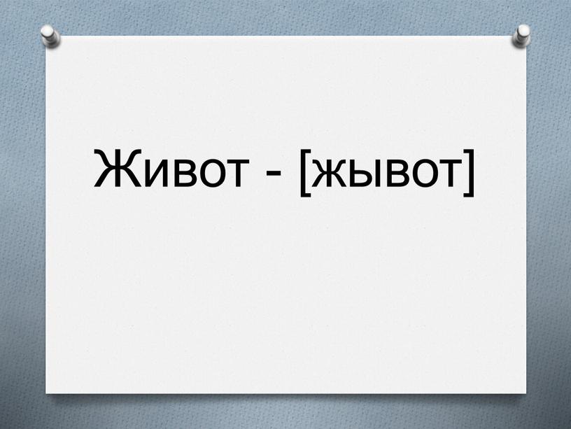 Живот - [жывот]