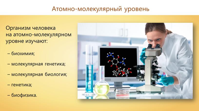 Атомно-молекулярный уровень Организм человека на атомно-молекулярном уровне изучают: – биохимия; – молекулярная генетика; – молекулярная биология; – генетика; – биофизика