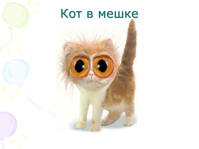 Кот в мешке