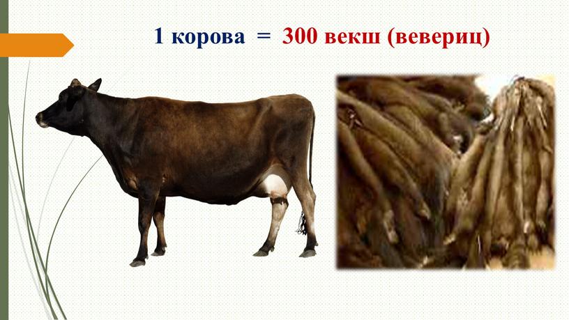 1 корова = 300 векш (вевериц)