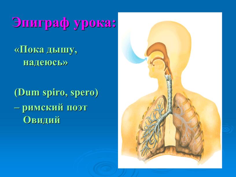 Эпиграф урока: «Пока дышу, надеюсь» (Dum spiro, spero) – римский поэт