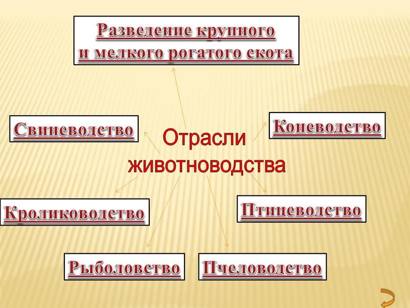 Отрасли животноводства Разведение крупного и мелкого рогатого скота