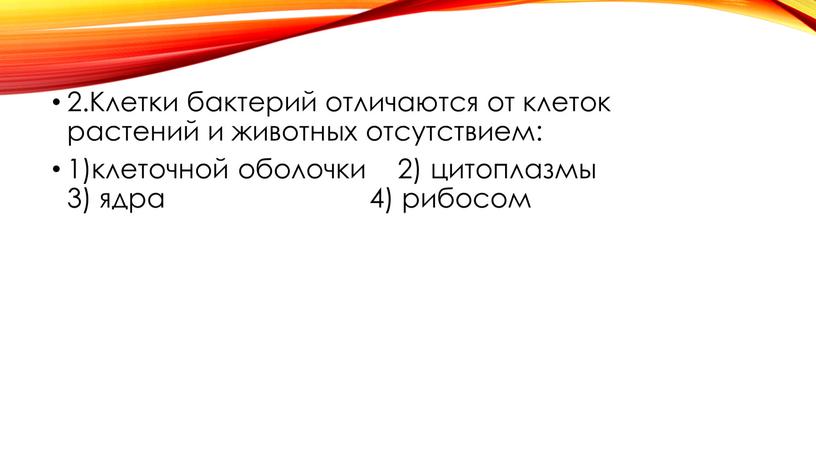 Клетки бактерий отличаются от клеток растений и животных отсутствием: 1)клеточной оболочки 2) цитоплазмы 3) ядра 4) рибосом