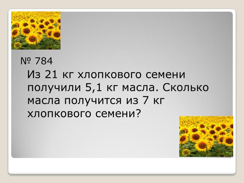 Из 21 кг хлопкового семени получили 5,1 кг масла