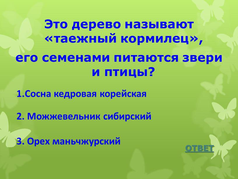 Это дерево называют «таежный кормилец», его семенами питаются звери и птицы?