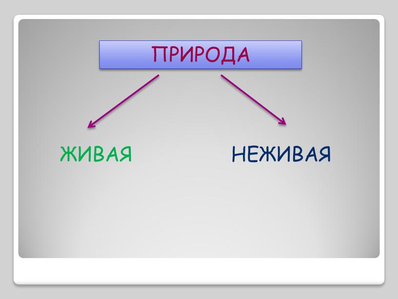 ПРИРОДА ЖИВАЯ НЕЖИВАЯ