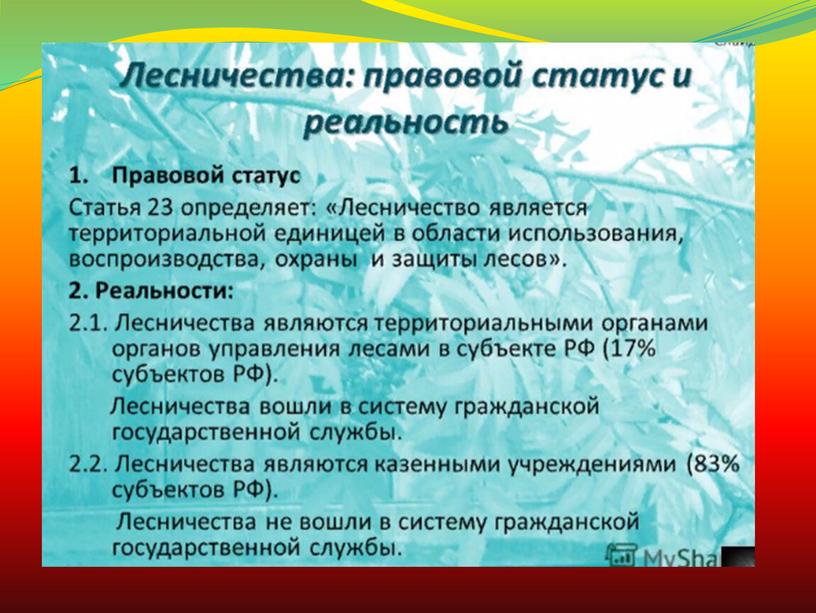 Организация государственного управления лесным хозяйством РФ.