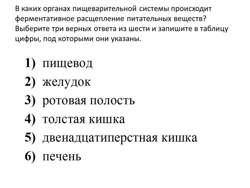 В каких органах пищеварительной системы происходит ферментативное расщепление питательных веществ?