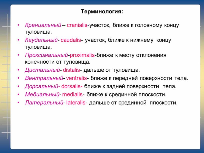 Терминология: Краниальный – cranialis-участок, ближе к головному концу туловища