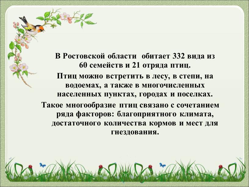 В Ростовской области обитает 332 вида из 60 семейств и 21 отряда птиц