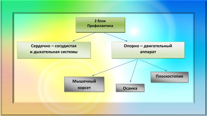 Профилактика Сердечно – сосудистая и дыхательная системы